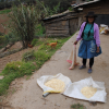 Project “Improvement of the health and food situation of 428 indigenous families in the the Andean region of Peru – Colcabamba”